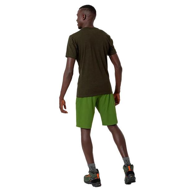 Salewa Шорты Talveno Durastretch