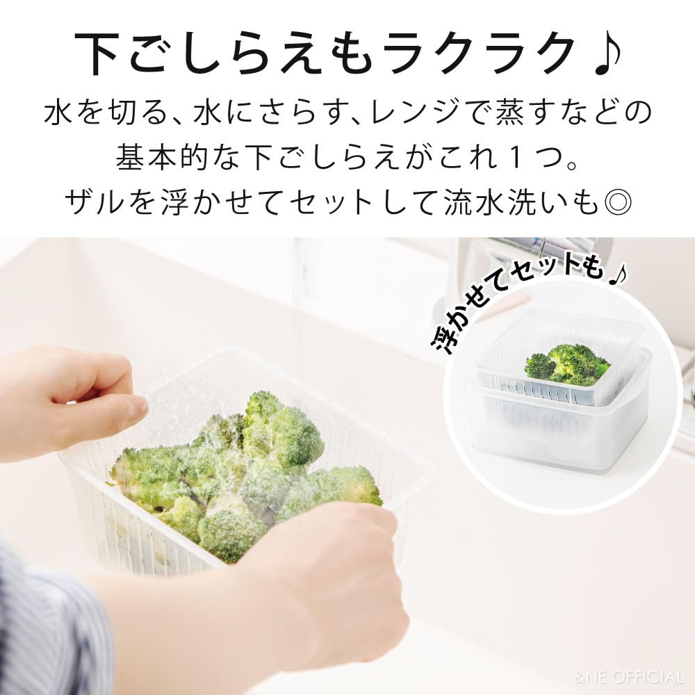 Vegisti Recopo 18cm Wide x Deep x Microwave Made in for Steamed with Pressure Perfect for Single Living &NE Green, 14.4cm 8.5cm High, Steamer, Japan,