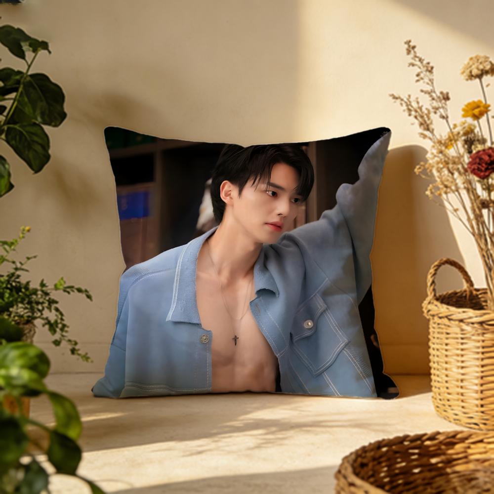 Popular Ssong Kanging Cushion Cover Versatile DoubleSided Pillow Case Fit for Sofa Bed Car  Daily Decor 30X30cm