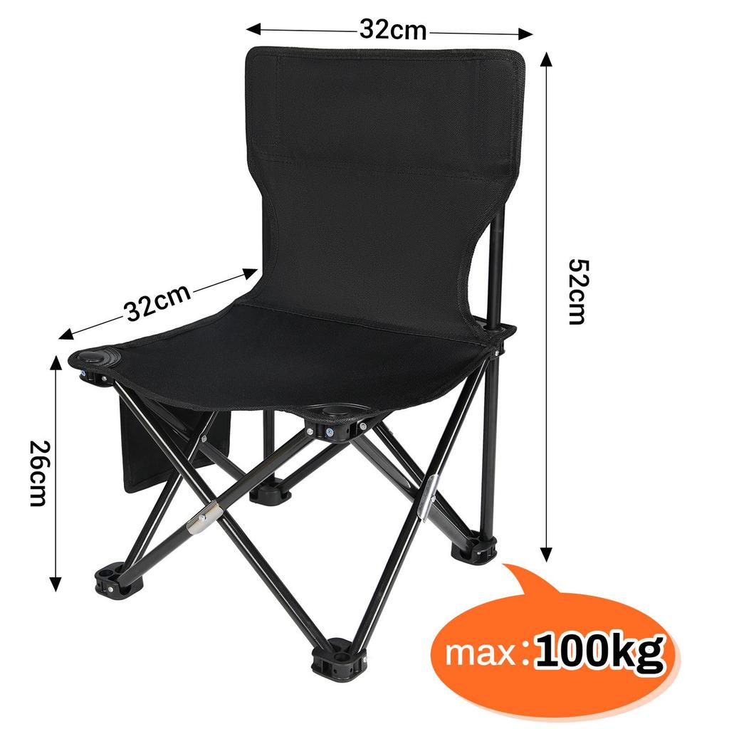 Portable Outdoor Folding Picnic Table and Chair Set