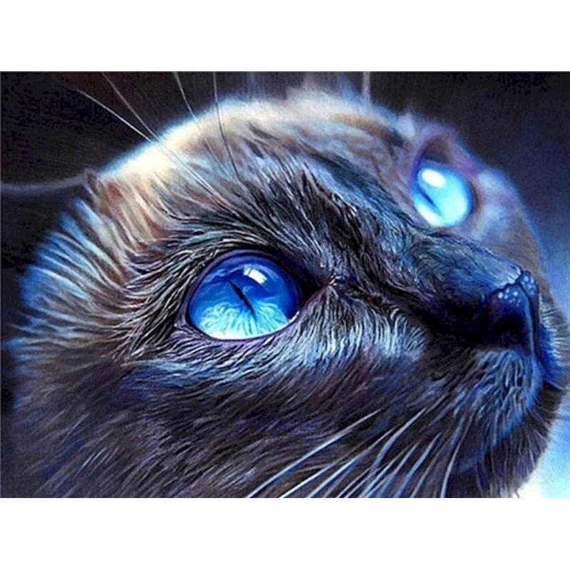 Diamond Painting Full Round Drill Diamond Embroidery Cat Animal Cross Stitch Mosaic Diy Crafts Home Decor Gift Kit