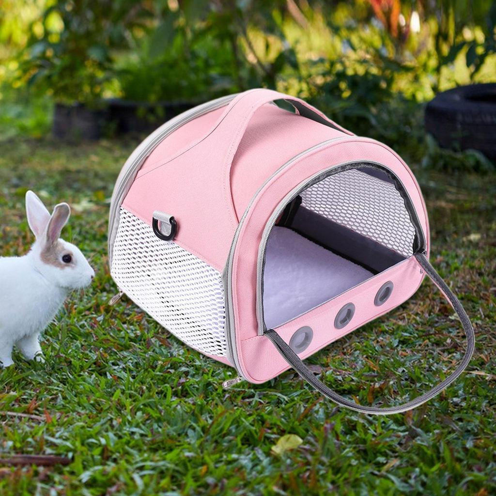 Guinea Pig Carrier Bag Hamster Lightweight Reptile Bearded Dragon Lizard Small