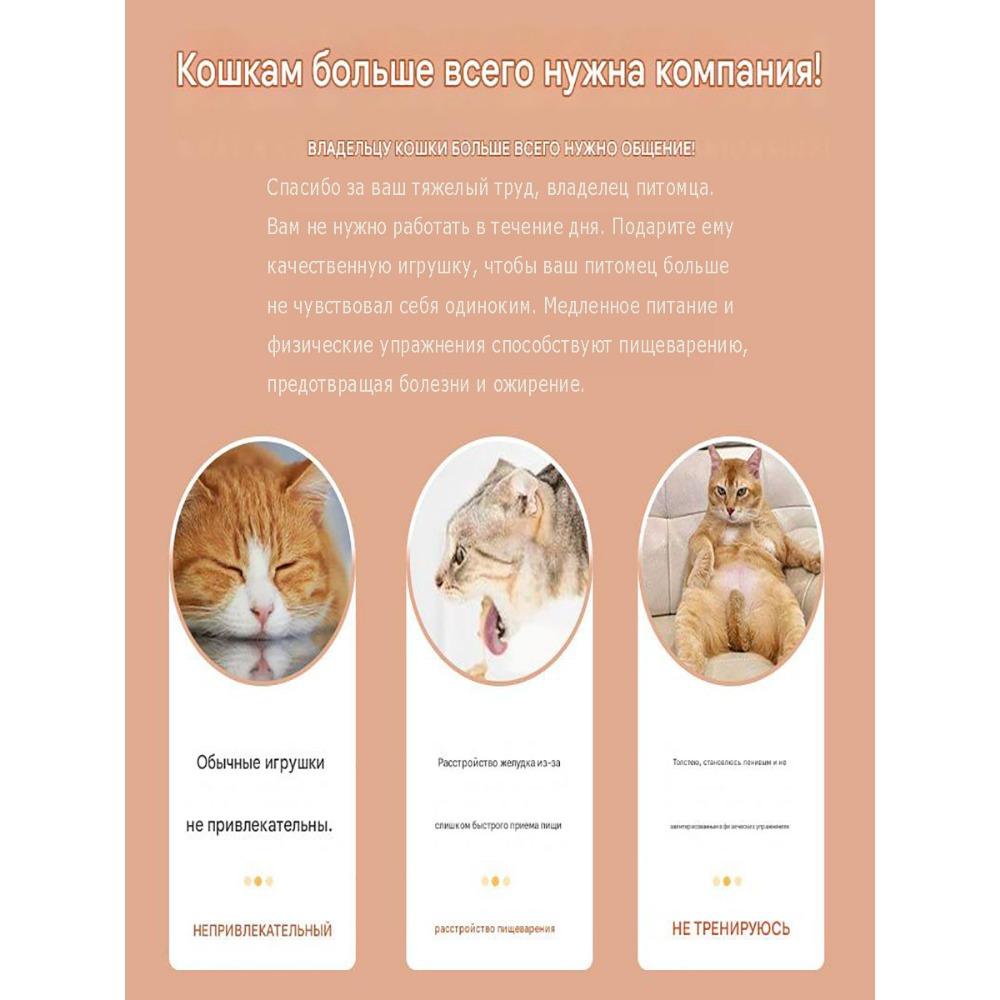 Massivholz Rotierendes Katzenminze-Ball-Set – Leckerli-Spender-Spielzeug, Reizangel und Haustierzubehör für Katzen