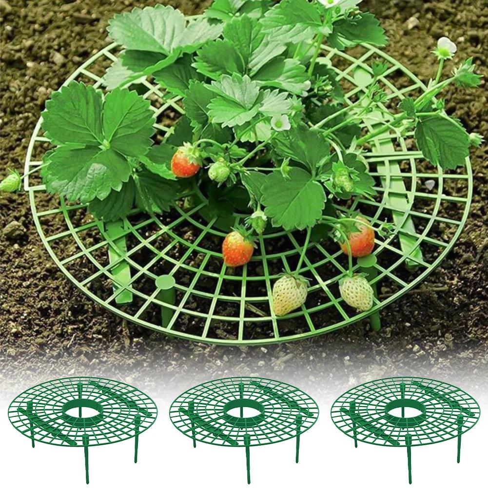 Strawberry Supports Keeping Plant Fruit Stand Vegetable Growing Rack Garden Tools for Protecting Vines Avoid Ground Gardening