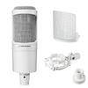 Audio-Technica AT2020 CWH Condenser Microphone XLR - Ideal for Video Streaming, Home Recording, Podcasts, Live Commentary, and DTM (Desktop Music)