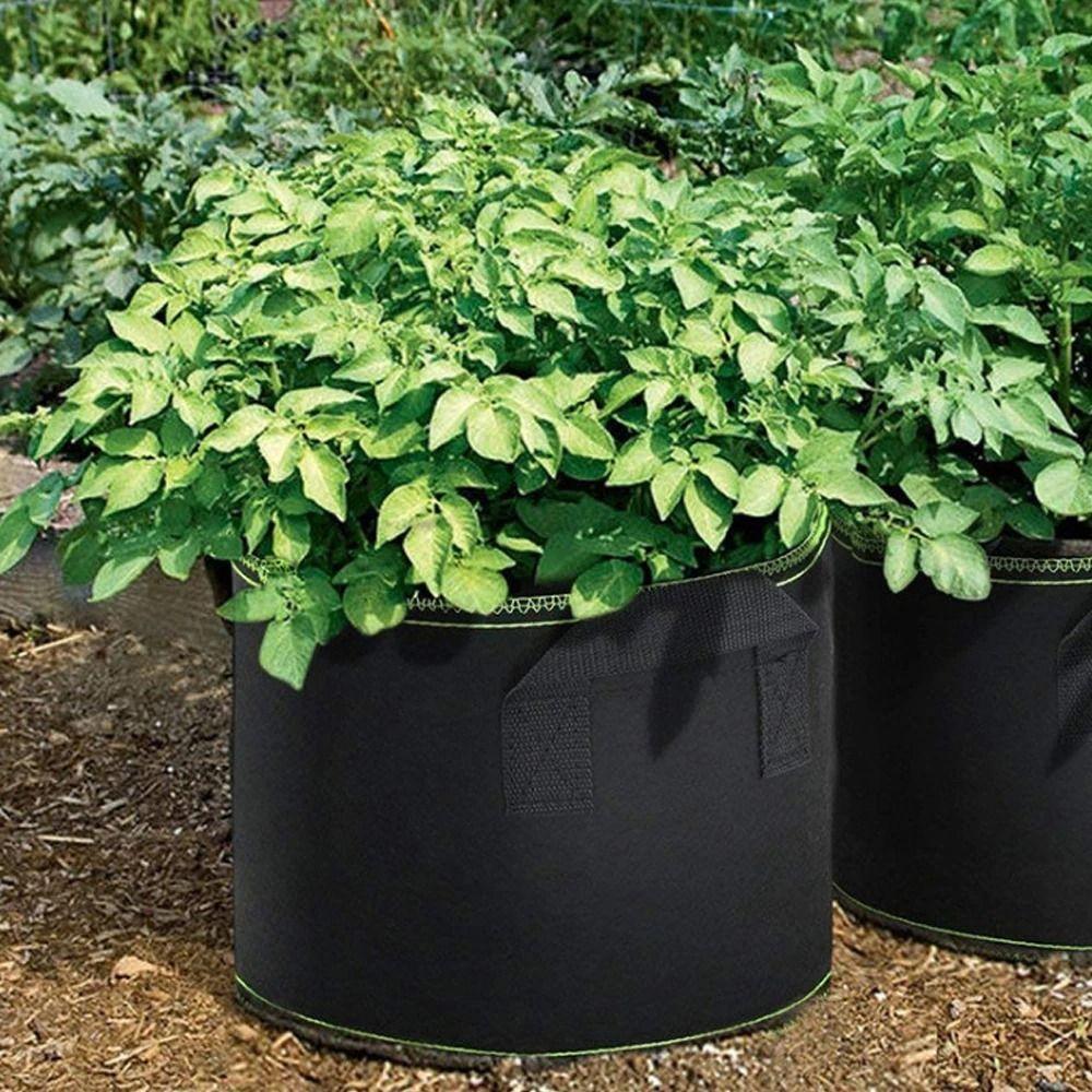 1/3/5/7/10 Gallon with Handles Grow Bag Felt Planting Container  Vegetable Tomato Potato Flower