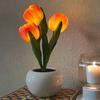 Night Light USB Rechargeable Wireless Tulip LED Lamp Touch Control Dimmable Cute Desk Lamp for Bedroom Living Room Travel Gift for Women Mom