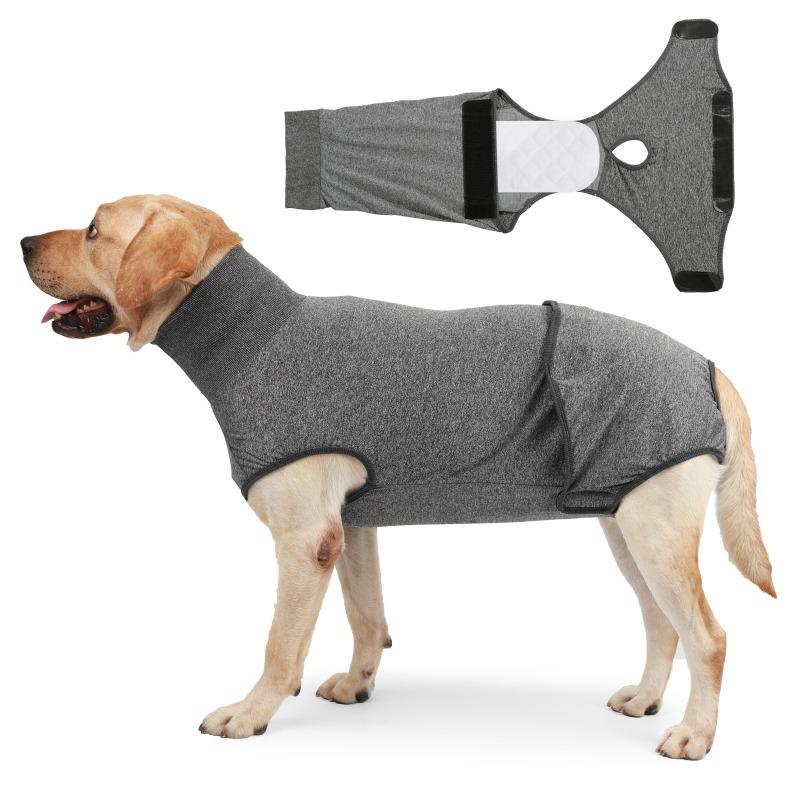 Vestiti per cani, Abbigliamento fisiologico per animali domestici, Mutandine igieniche per cani, Cani di piccola e media taglia, Cani femmina di razza Teddy, Mutandine mestruali, Cani