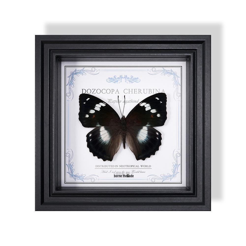 Wall-Mounted Butterfly Specimen Photo Frame: Home Decor & Gift for Valentine's Day, Qixi, Birthday, Couples & Insect Lovers