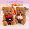 Romantischer Teddybär Plüschtier mit Rosen-Design für Valentinstagsgeschenk