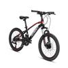 Forever 20-inch 24-Speed Mountain Bike