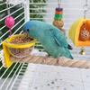 Paw Grinding Bird Feeding Cup Wear-resistant Bird Perch Stand  Pet Bird Supplies