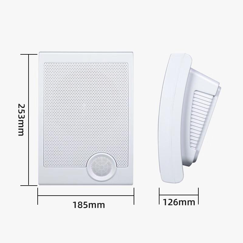 Husite IPG-H0 Professional IP Network Wall Speaker (CN Version)