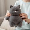 Fluffy Design White Cat Plush Toy Soft Toys Plush Animal Ideal Gift Stuffed Animal  Home Decor
