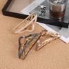 Light Luxury High-Grade Acetic Acid Triangle Shark Clip Female Spring Large Hair Volume, Back Head Hair Disc Grab Clip Hairpin Headdress