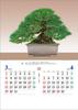 Japanese Spirit 2026 Wall Calendar (Bonsai) TD-721 CL26-1039