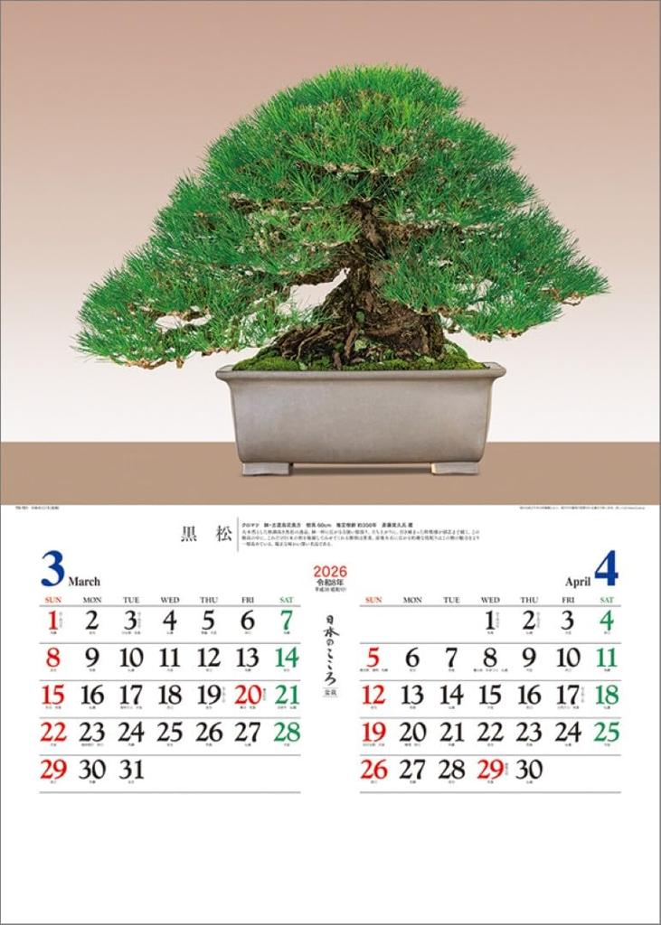 Japanese Spirit 2026 Wall Calendar (Bonsai) TD-721 CL26-1039
