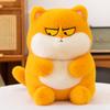 New high-value drag cat doll doll for children's birthday gift drag cat doll throw pillow