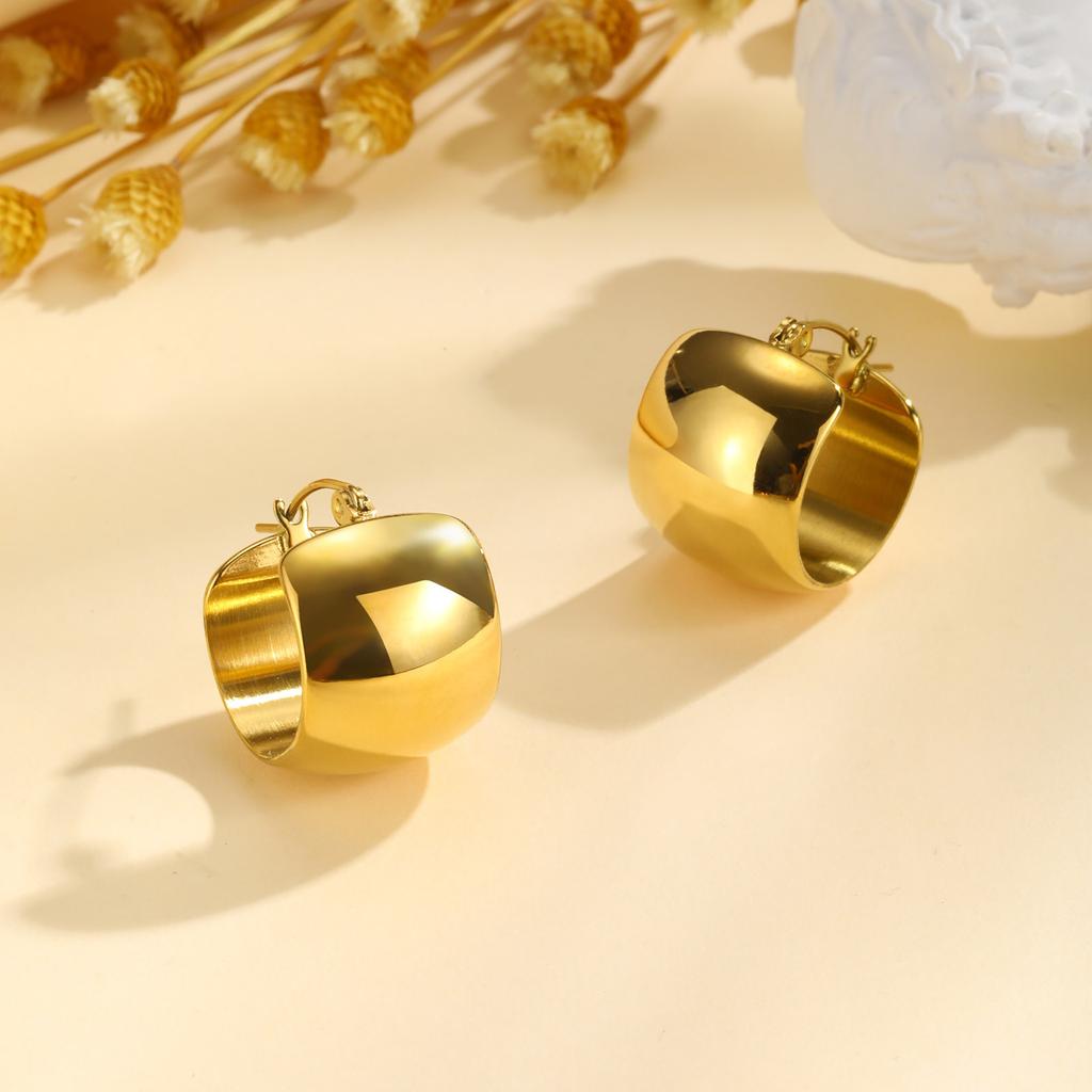 Chunky Geometric Hoop Earrings for Women, Circle Huggie Ear Jewelry, Stainless Steel Waterproof Earring Oorbellen Wholesale