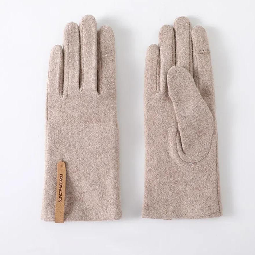 Keep Warm Winter Gloves Windproof Women's Gloves Fashion Cashmere Gloves  Drive