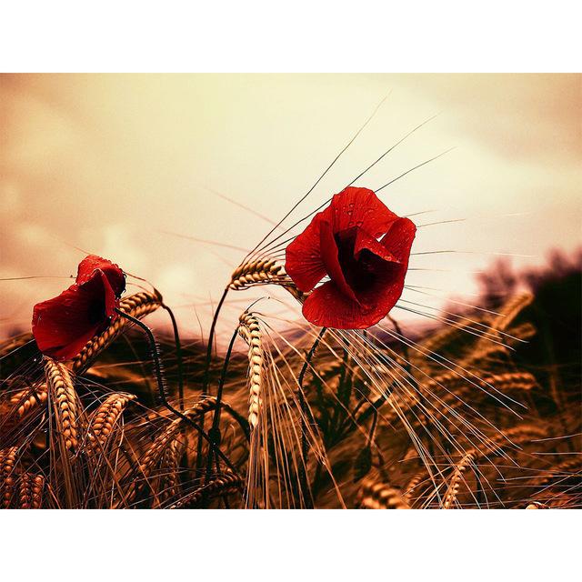 5D Diamond Painting Flower Vase Full Round Square Home Decoration Gift DIY Art Mosaic Pattern Rhinestone Embroidery Cross Stitch Kit