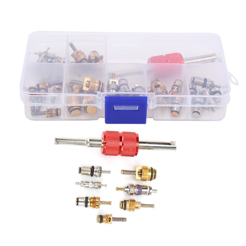 40PCS Car Air Conditioner Valve Core with Remover Tool 5101791AA   5189373AA Replacement for Chrysler