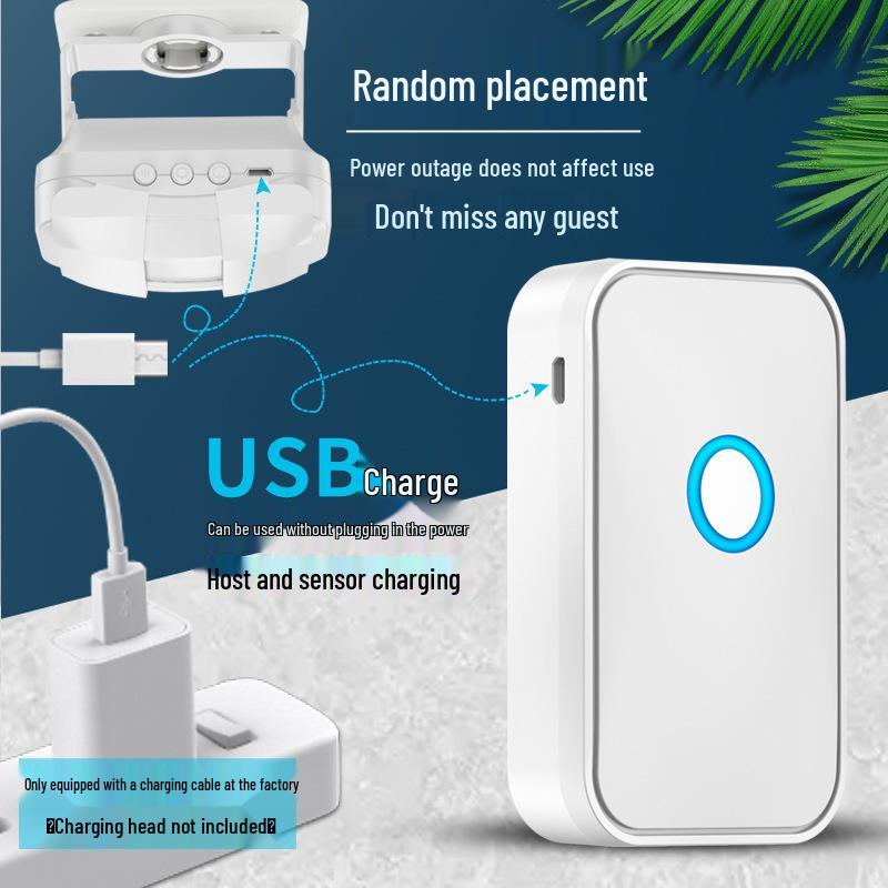 Welcome To the Sensor Entry Shop: Voice Prompt Greeter and Charging Split Doorbell Device.