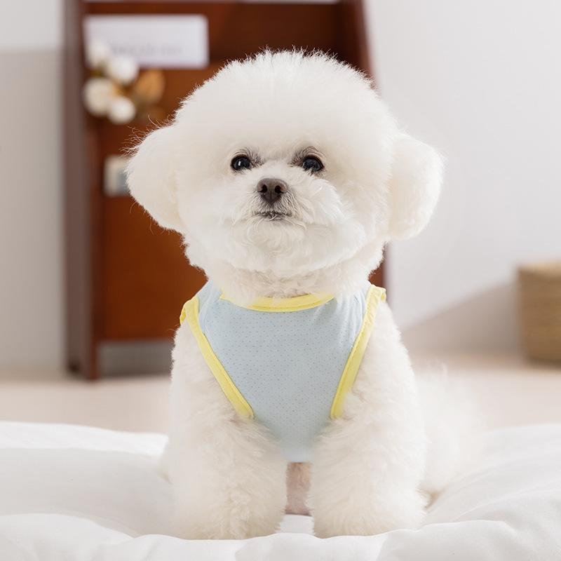 

Summer dog clothes rainbow word print cool clothes summer go out to cool down and relieve heat cool vest teddy dog clothing XXL (recommended weight 15-10kg)