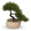 Villa Como Künstlicher Innenbereich Künstlicher Kiefern-Bonsai Tischdekoration Topfpflanze Nie Innen Tag Geschenk Grünpflanze, Pflanze, Baum, Stil, Mini, 24cm, Pflanze, Verwelkt,