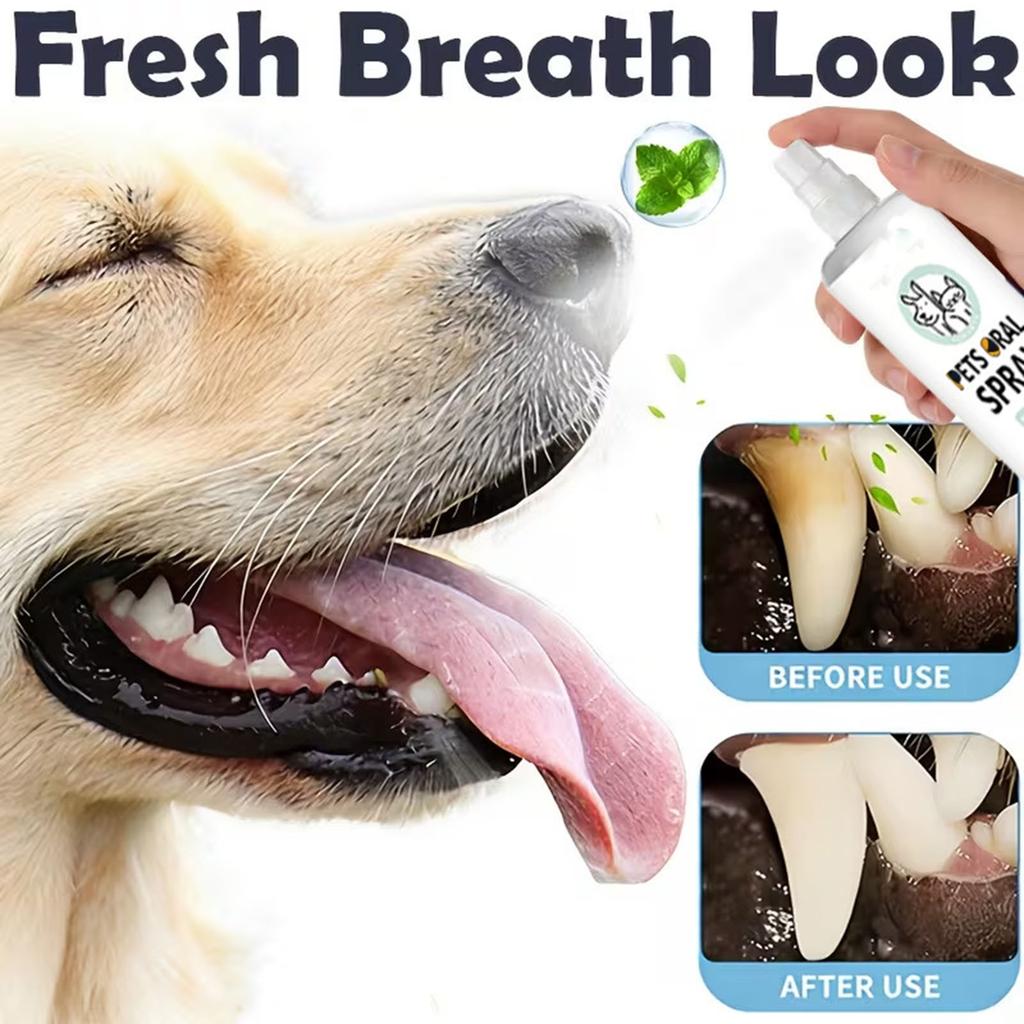 Pet Cleaning Teeth Oral Cavity Spray 100ml
