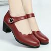 Women Fashion Black Pu Leather Buckle Strap High Quality Office Wine Red Heel Shoes Lady Cool Shoes
