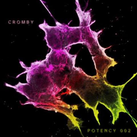 

12inch Record CROMBY - Potency 002 Potency002 Potency 2022 UK Dance & Electronica