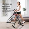 Space Walker Fitness Stepper