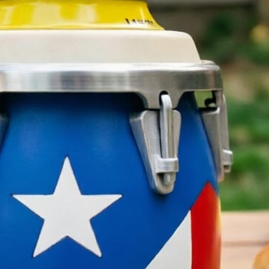 Puerto Rican Flag Conga Style 3D Printed Can Holder, Beverage Insulator, Lightweight 12oz Can Cooler for Parties Beaches Barbecues Caribbean Gift