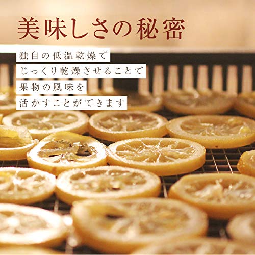 Yamashitaya Sosuke Lemon Dried Fruit 500g Setouchi Region Sliced Freeze-Dried Gift Tea Souvenir Semi-Dried Type