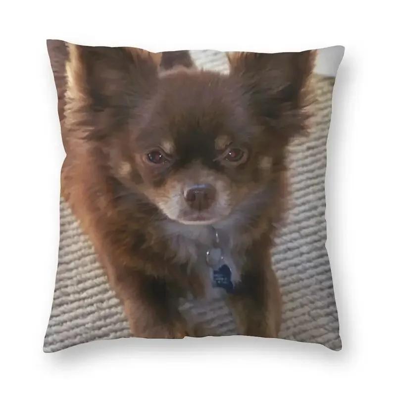 Personalized Chilly Chihuahua Square Pillow Case Home Decorative Pet Dog Cushions Throw Pillow for Car Double-sided Printing