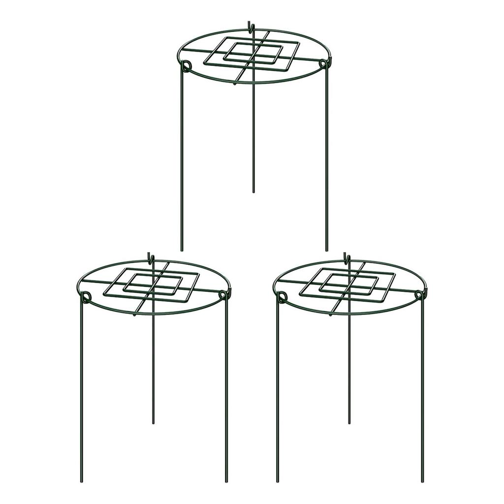 Set of 3 Plant Support Hoops, Perfect for Agapanthus And Vegetables