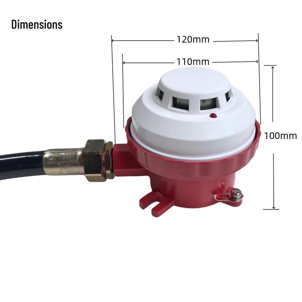 Explosion-Proof Smoke Detector & Alarm with 12V/24V Switch and PLC Compatibility