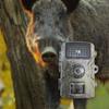Trail Camera with Night Supplies Gear Accessories Lightweight 1600MP 1080P