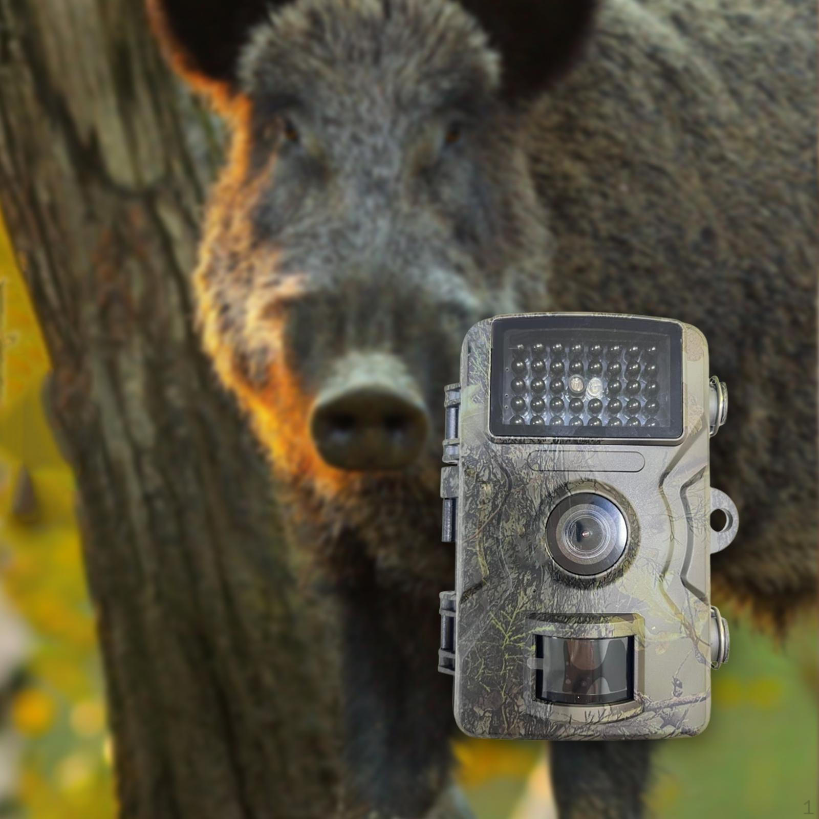 

Trail Camera with Night Supplies Gear Accessories Lightweight 1600MP 1080P