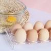 6/10 Holes Egg Storage Container Refrigerator Holder Display Organisers