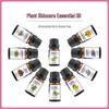 Lavender, Tea Tree, Rose, Sweet Orange & Rosemary Essential Oil for Face Massage & Aromatherapy
