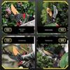 Professional Garden Pruning Shears