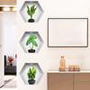 3Pcs/Set 3D Stereoscopic Potted Wall Stickers Living Room Decorative Wallpaper Self-Adhesive Plant And Flower Pvc Stickers