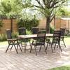 Maison Exclusive - Chaises pliantes 6 pièces Textilène Noir