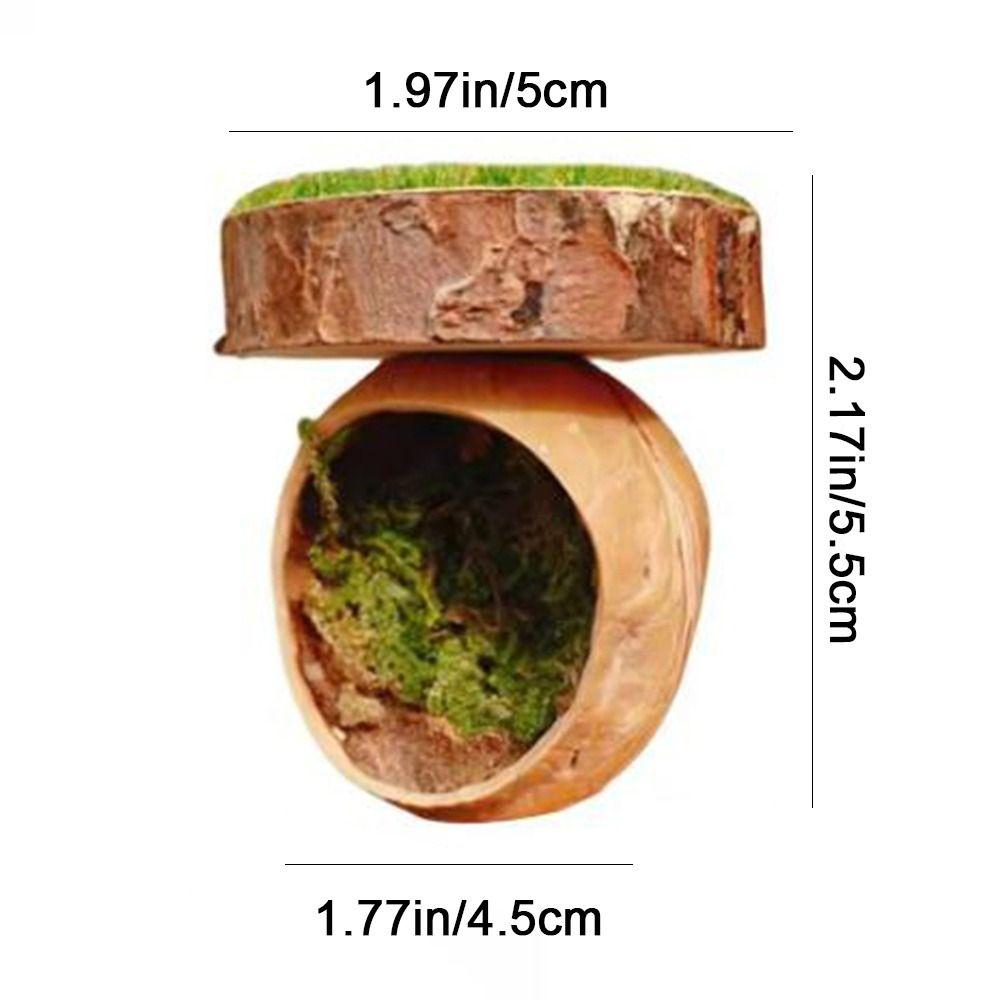 Mini Jumping Spider Shelter Handmade Magnetic Spider Habitat Spider Hide Cave  Tarantula House Cage