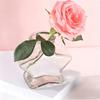 Decorative Glass Bottles With Cork Stopper Clear Glass Jar in Five-Point Form with Wood Cap,Display Bottle for Sand Candy and Paper Bits in Shelf or
