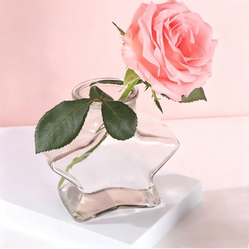 Decorative Glass Bottles With Cork Stopper Clear Glass Jar in Five-Point Form with Wood Cap,Display Bottle for Sand Candy and Paper Bits in Shelf or