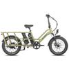 Fafrees FF20 CUV Longtail Electric Bike, 12 Ah X 2 Batteries, 250W