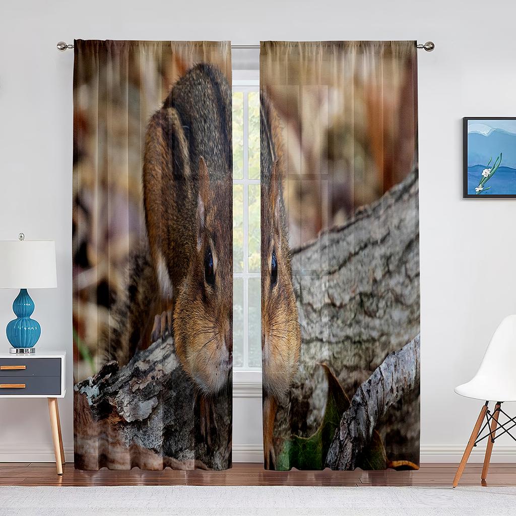 Squirrel Standing on Tree Branch Animal Sheer Voile Curtains for Living Room Modern Curtains for Kitchen Chiffon Tulle Curtain